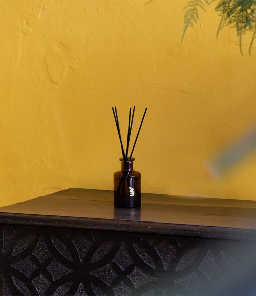 Reed-diffuser